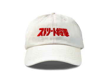 'SKULL SHIELD' CAP