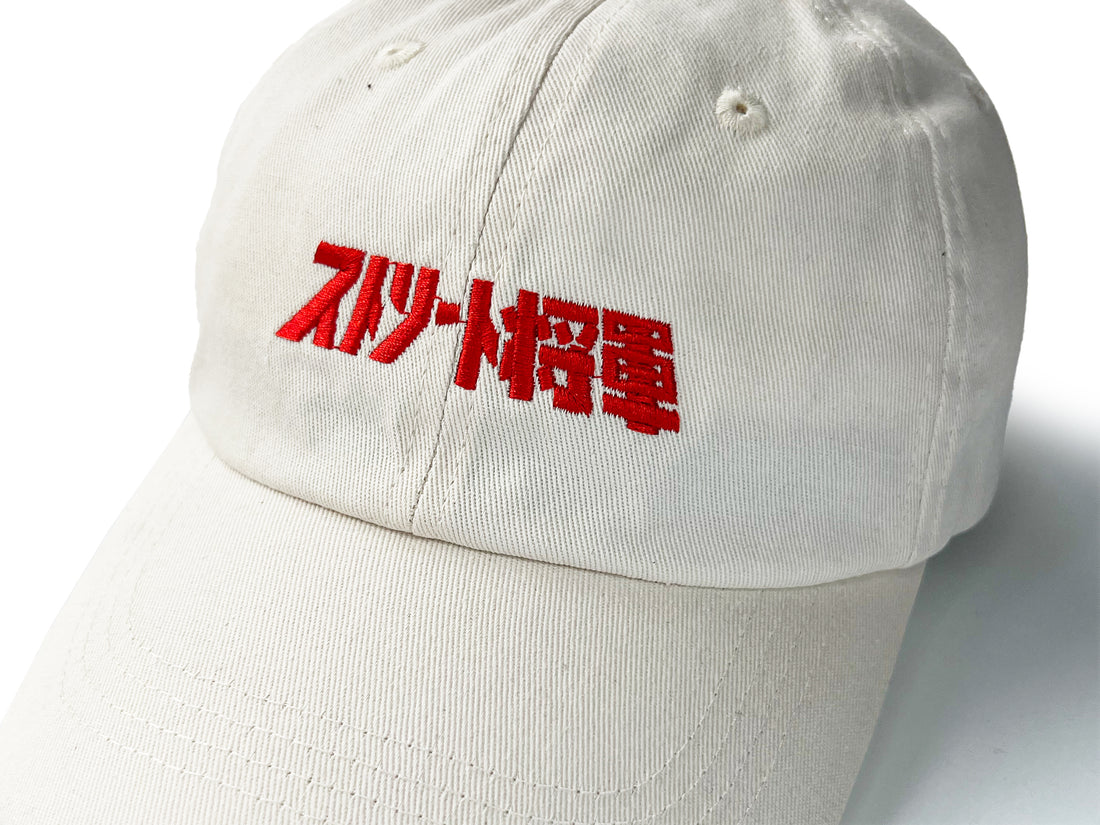 'SKULL SHIELD' CAP